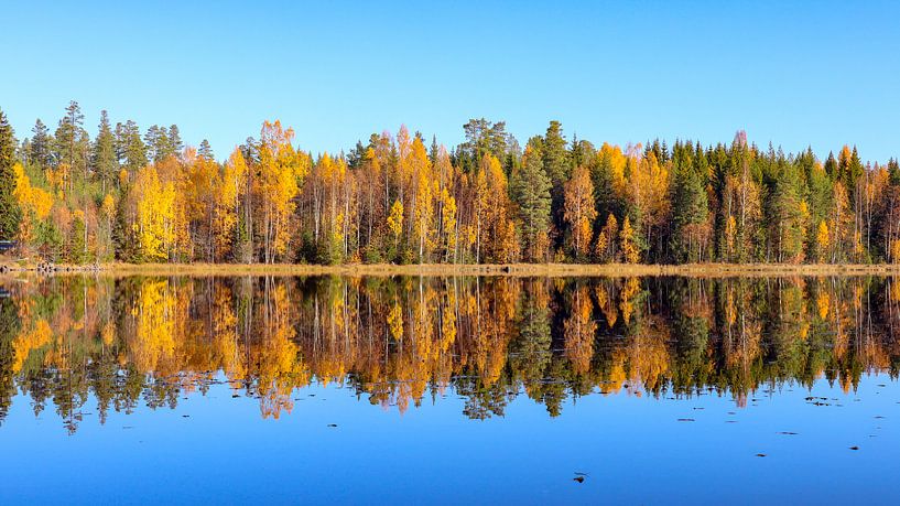Spiegelbeeld in Zweedse natuur von Fields Sweden