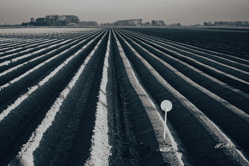 Farmer lines van Amanda van den Berg / Fotografie Amanda