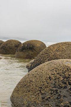 Moeraki-Felsen in Neuseeland