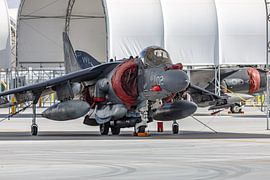 McDonnell Douglas AV-8B Harrier der U.S. Marines. von Jaap van den Berg