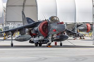 McDonnell Douglas AV-8B Harrier der U.S. Marines.
