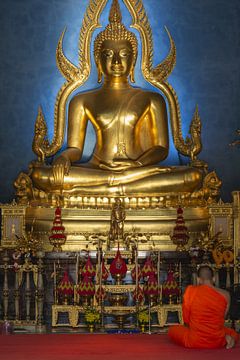 Meditatie van Walter G. Allgöwer