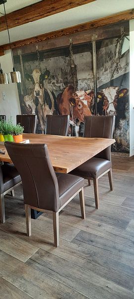 Customer photo: Dutch cows in an old barn by Inge Jansen, as wallpaper