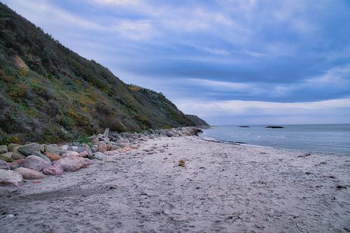Sunset on the Danish coast. Beach, waves. Hills with trees in the background. Landscape.