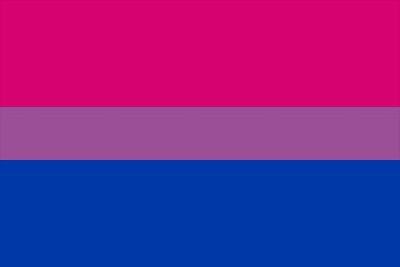 Bisexual Pride Flag'