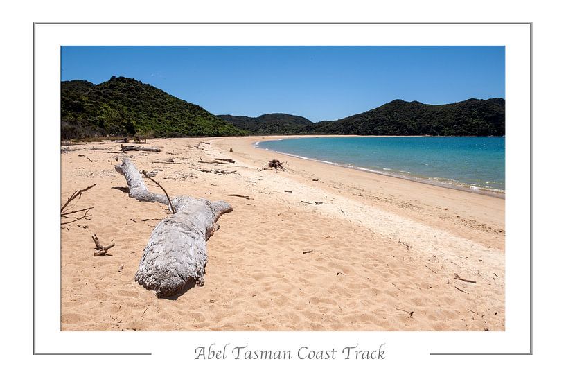Abel Tasman Coast Track. by Richard Wareham