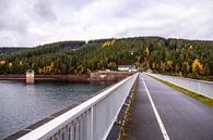 Herfstwandeling rond de Ohratal dam bij Luisenthal - Thüringer Woud van Oliver Hlavaty thumbnail