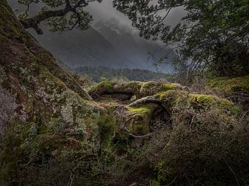 Arcadisch  en desolaat landschap Milford Sound van Albert Brunsting