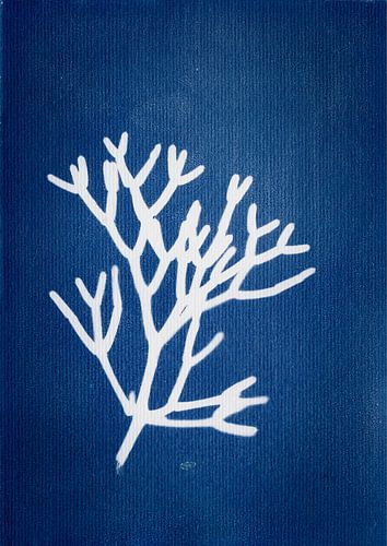 Harmonie in der Stille II von Piret Victoria Ribas Art & Photography