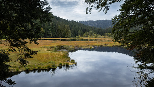 Lac de Lispach Reflections in Autumn