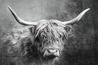 Tough Scottish Highlander in Black and White