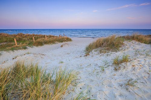 Wind in de duinen van de Oostzee