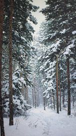 Ein ruhiger Wintermorgen im Kiefernwald von Artistic