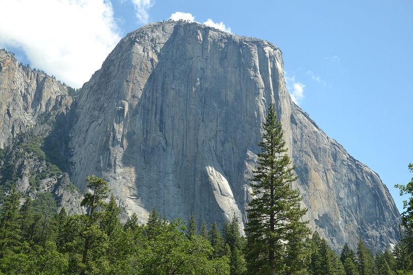 Big Rock by Wessel Smit