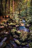Beek in Bos.  Bayern Duitsland. Woods in Germany