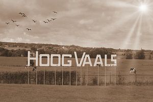 Waale in Sepia