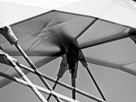 Crossing by Willy Backhaus