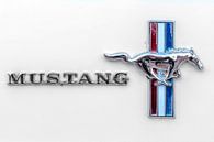 Logo Ford Mustang van Rob Smit thumbnail
