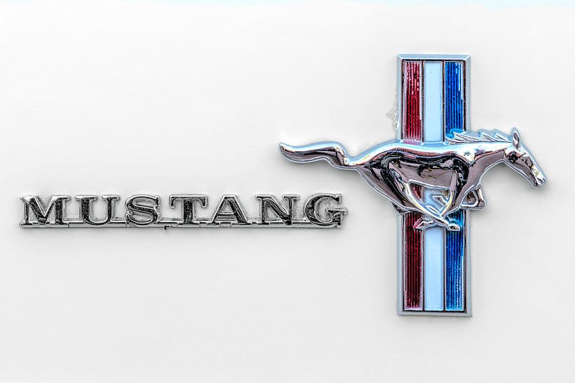 Logo Ford Mustang van Rob Smit