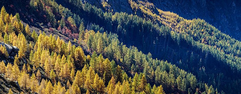 Mont Blanc indian summer by Stefan Havadi-Nagy
