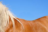 Symphony of golden brown, beige and deep blue by Annavee thumbnail