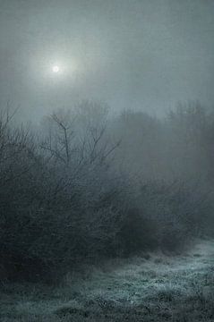 Winterhaag van Dan Courtice