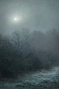 Winter Hedgerow by Dan Courtice thumbnail