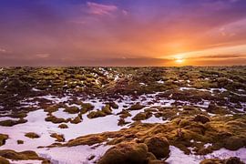 ICELAND Skaftáreldahraun Lava Field