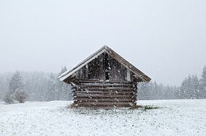 Cozy home
