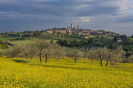 San Gimignano in Tuscany by Walter G. Allgöwer