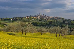 San Gimignano en Toscane