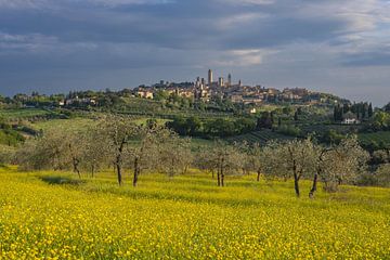 San Gimignano in Toscane van Walter G. Allgöwer