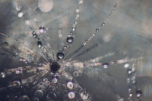 Lichtempfänger von natascha verbij