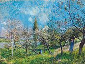 Obstgarten im Frühling, Alfred Sisley von Meesterlijcke Meesters Miniaturansicht