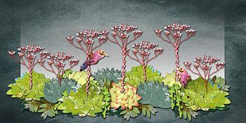 Supernatural Sempervivum