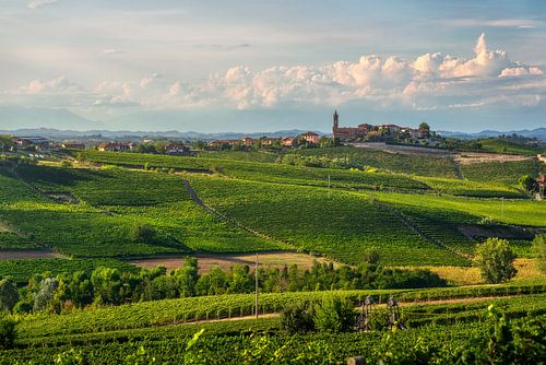 Les vignobles des Langhe et le village de Santo Stefano Canetto au coucher du soleil sur Stefano Orazzini
