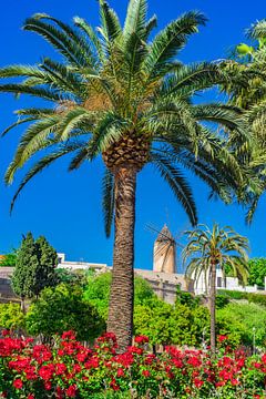 Oude traditionele windmolen in Palma de Majorca, Spanje van Alex Winter