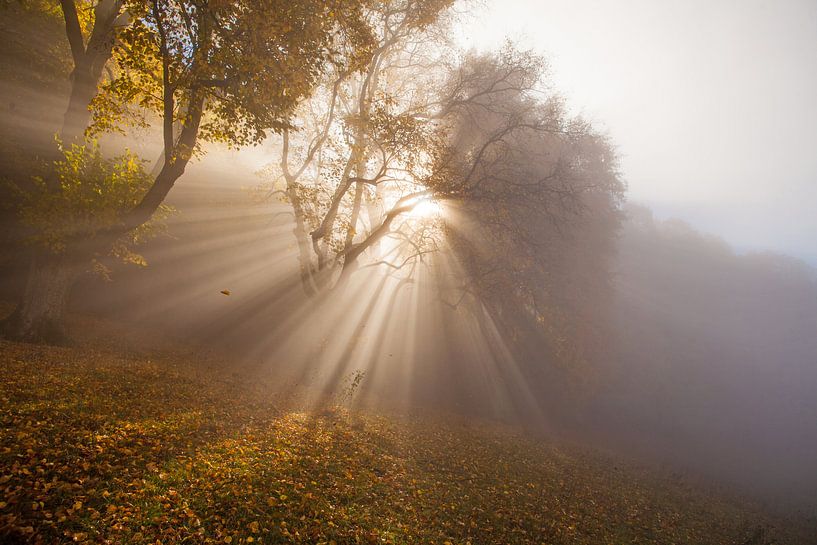herfstige lichtstralen in de mist op de Zwabische Alb Alb van Jiri Viehmann