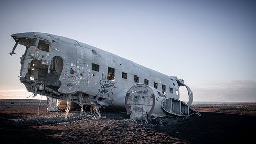 Silent Sentinel of Solitude