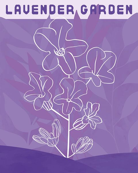 Lavendel tuin