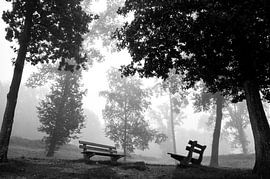 zwartwitte mistbanken (banken in de mist)