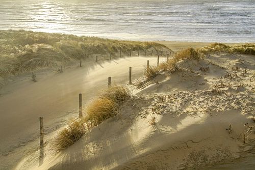 Soirées en mer