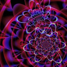 flowering 11 by Claudia Gründler