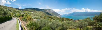 Höhenstraße durch den Olivenhain, Gardasee Italien