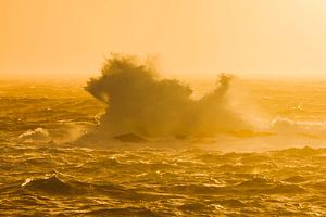 The lion in the waves sur Karla Leeftink
