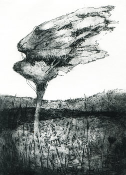 L'arbre des rêves