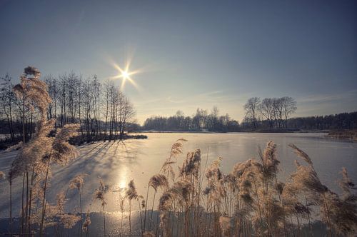 Landschap - Hot &amp; cold