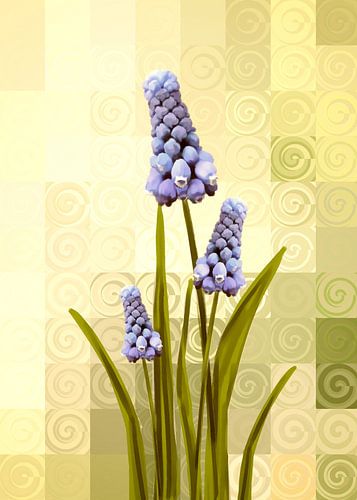 Retro  - grün - Traubenhyazinthen