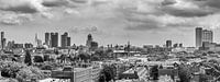 Rotterdam skyline panorama van Patrick Herzberg thumbnail