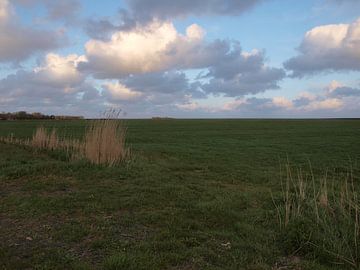 Polder Terschelling von Rinke Velds